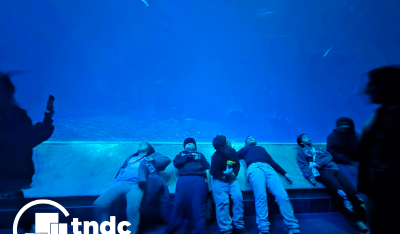 Tasp at monterey bay aquarium