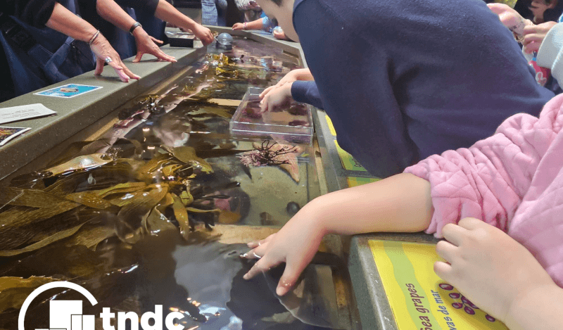 Tasp at monterey bay aquarium